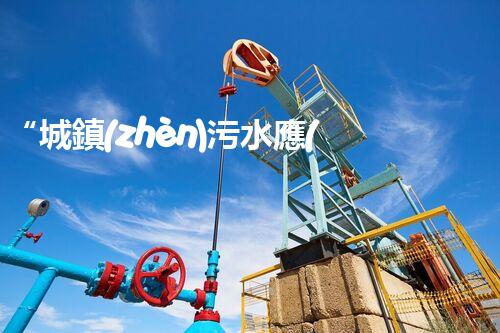 “城鎮(zhèn)污水應(yīng)當(dāng)如何處理——綠色創(chuàng)新，凈享以后”